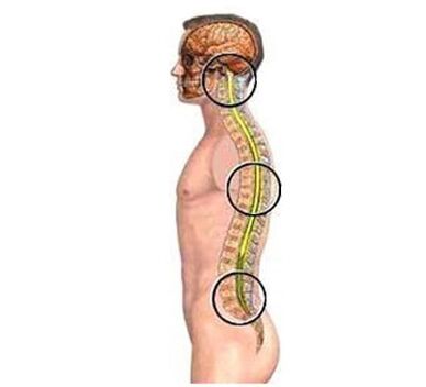 остеохондроза на гръдния отдел на гръбначния стълб
